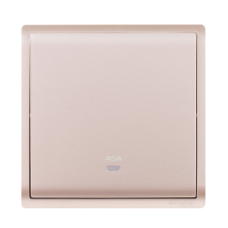 45A 1 G DP/S WITH NEON ,WG